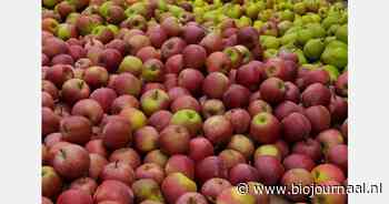 BioResiObst-project van start voor optimalisatie biologische fruitveredeling
