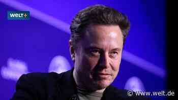 Musk wittert die große Verschwörung gegen sich – und erhält überraschende Zustimmung