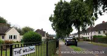 Hunt for drug growers after cannabis farm discovered in Throckley home