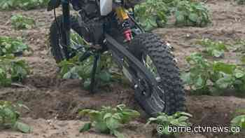 Teen busted for dirt bike crash