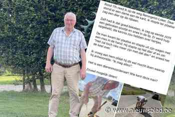 Noel (76) keelde aangereden ree en dat leidde tot ophef: “Moordenaar? Het was mijn plicht dat te doen”