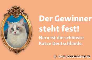 Weltkatzentag: Fressnapf hat die schönste Katze Deutschlands gefunden!