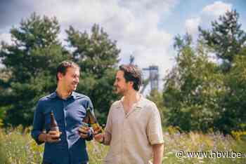 Zilveren medaille voor Limburgse alcoholvrije bieren