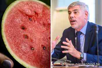 Filip Dewinter (Vlaams Belang) vreest voor watermeloencoalitie
