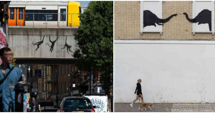 Lupi, elefanti, scimmie: Banksy torna con quattro nuove opere e gli utenti si scatenano sulle possibili interpretazioni