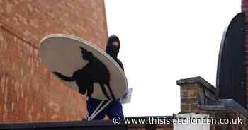 Banksy’s howling wolf artwork in Peckham removed less than an hour after unveiling