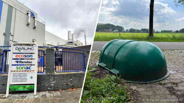 Topdrukte bij destructiebedrijf door blauwtong: 'Kadavers blijven liggen'