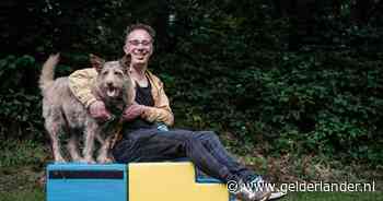 Honden met agressief gedrag zijn vaak ziek: ‘Pijn is vaak een oorzaak van bijten’