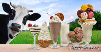 Real dairy and shelf stable ease for delicious and profitable results