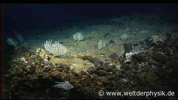 Rekordbohrung in den Erdmantel