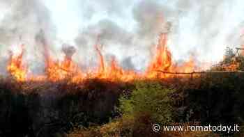 Incendio a Roma: alte fiamme minacciano auto e abitazioni. Fermi i treni alta velocità
