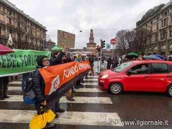 Che goduria: i verdi si arrendono, l'orrore della rom lady furto e Renzi: quindi, oggi...