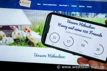 Scharfe Peta-Kritik an Schlachtungs-Countdown auf Naturhof am Lippesee