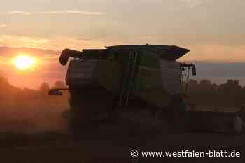 Landwirte ziehen durchwachsene Ernte-Bilanz im Kreis Paderborn