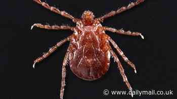 Disease-carrying tick that kills up to 15% of people bitten is rising across the US - see if your state is at risk