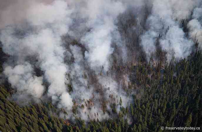 B.C. wildfires holding steady at about 350 with lightning in the forecast