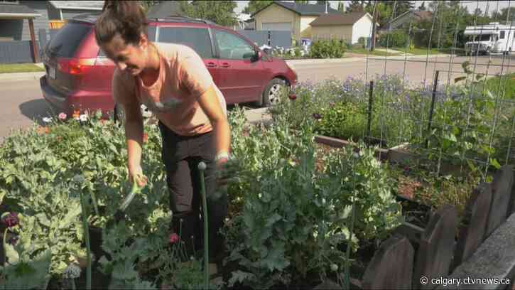 Calgarians getting ready for another round of water restrictions