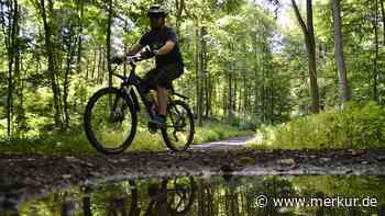 Tödliche Vorfälle in Tiroler Wald – nun greift die Polizei ein