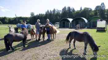 Aus dem Märchenwald verbannt?