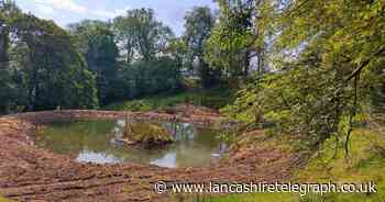 New 1 million litre wetland supporting endangered species completed