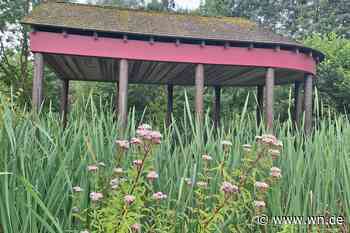 Natur verschlingt Installation der Skulptur-Projekte