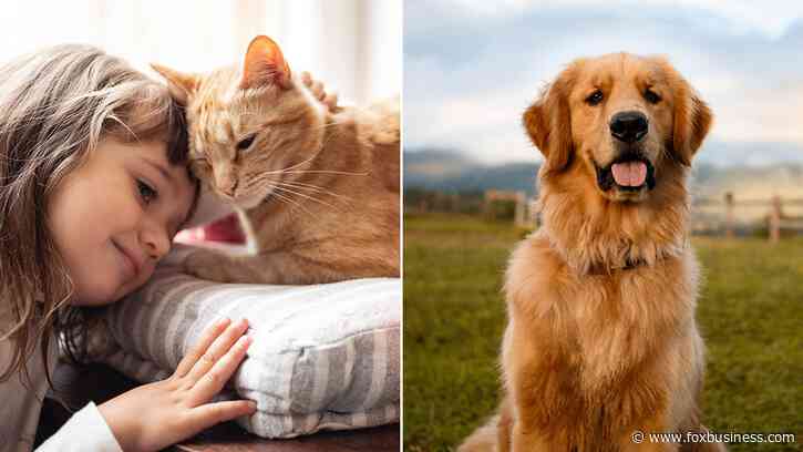Top US cities to raise your dog or cat revealed in new study