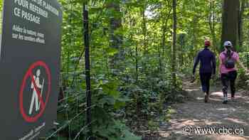 Can urban parks protect biodiversity as they welcome more visitors?