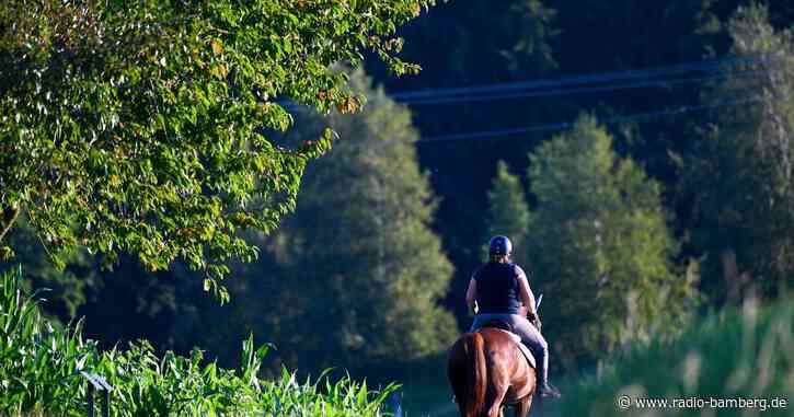 Reiterin bleibt mit Pferd in Weiher stecken