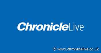 Urgent iPhone and Android warning issued over 'strange message' - what to look out for