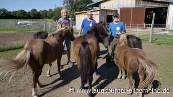 Ponys aus dem Märchenwald: Einfach nur zum Wohl der Tiere handeln