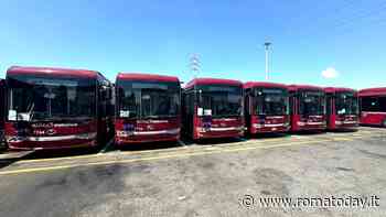 Bus periferici, Patané: "Firmato contratto per servizio sul lotto 2 - ovest"