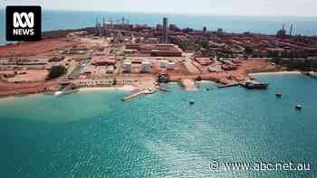 Commonwealth argues decades of pastoral leases risk 'invalidation' in appeal of NT land rights case