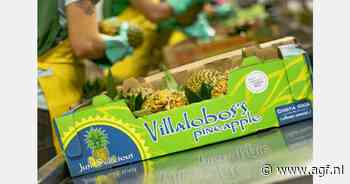 Costa Ricaanse ananasteelt in het teken van duurzaamheid