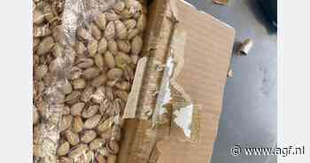 Douane onderschept 150 kilo heroïne tussen gedroogd fruit op Schiphol