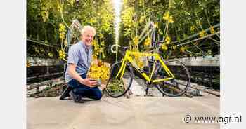 Gele fiets van gele tomaten voor Tour de France Femmes