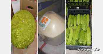 "Grotere locatie met directe verbinding Frankfurt Airport"