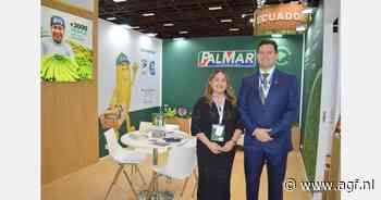 "Herstel na vier moeilijke jaren in de bananensector"