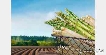 ‘Robotisering in de aspergeteelt’ is het thema voor de eerste Asperge Innovatiedag