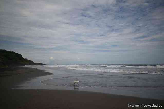 Fransman (30) tot grote opluchting vrijgesproken voor verkrachting op strand: “Meisje lijkt vrolijk op filmpje nadien”