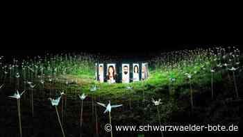 Kunstaktion in Nagold: Kraniche gegen den Krieg falten