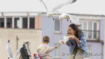 Sandwich shop rolls out £1 'seagull insurance' for customers after greedy divebombing birds snatch '30 toasties a day' from hungry seaside tourists