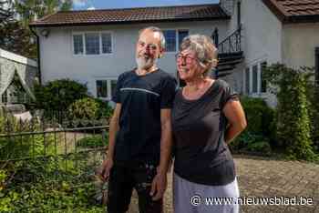 Groeiende groep ooievaars cirkelt boven tuin van Mady en haar man: “Nu zijn ze al met zo’n twintig”