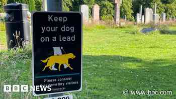 Edinburgh council votes to allow dog walking in cemeteries