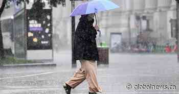 Debby in Canada: Heavy rain hits Quebec, Ontario as remnants of tropical storm move in