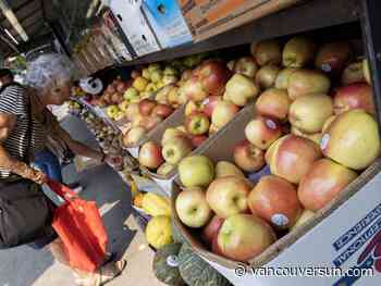 Uncertainty looms over B.C. apple harvest as NDP minister finally meets with fruit growers