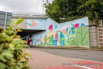 Oppositieraadslid Marc Hendrickx stelt zich vragen bij kostprijs muurschildering Nekkerspoel: “Kon dit niet goedkoper?”