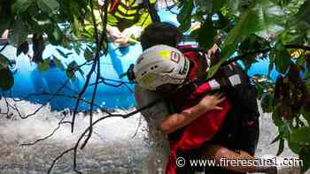 Video: N.C. firefighters rescue kids trapped in creek
