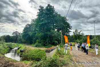 8,6 miljoen euro om Stiemerbeekvallei weer mooie en lekker ruikende vallei te maken