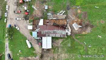 1 horse killed, several injured after 3 tornadoes hit Niagara Region, researchers say