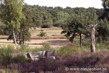 Ex-‘wandeling van het jaar’ krijgt eigen schuilhut